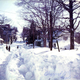 Illustration for article titled Think You Get A Lot Of Snow? These Are The Largest Snowfalls On Record